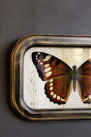 Close-up of the Vintage-Style Butterfly Framed Wall Art displayed on a dark wall.