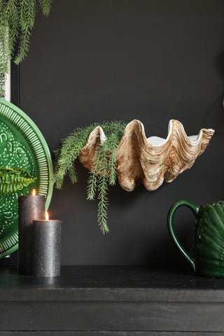 Image of the Clam Shell Wall Shelf  lifestyle with lots of plants closeup