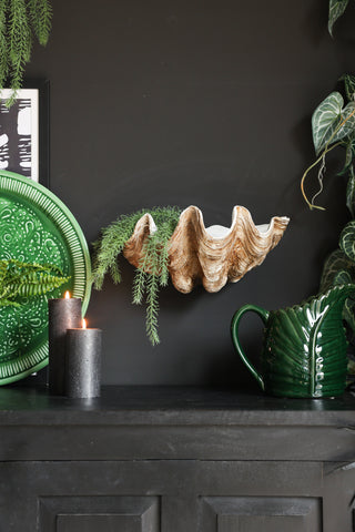 Image of the Clam Shell Wall Shelf  lifestyle with lots of plants