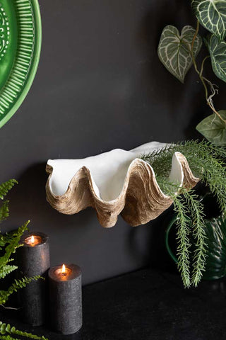 The Clam Shell Wall Shelf displayed on a black wall, styled with lit candles, plants and green home accessories.