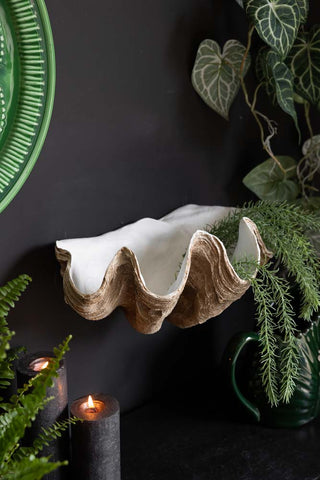 The Clam Shell Wall Shelf displayed on a black wall, styled with lit candles, plants and green home accessories.