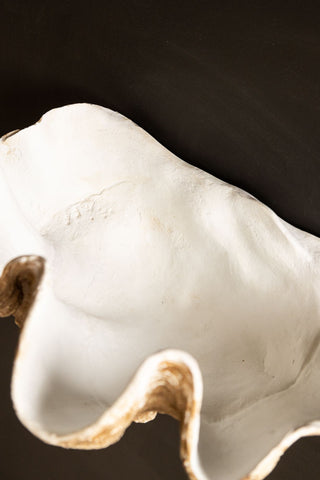 Close-up image of the Clam Shell Wall Shelf from above