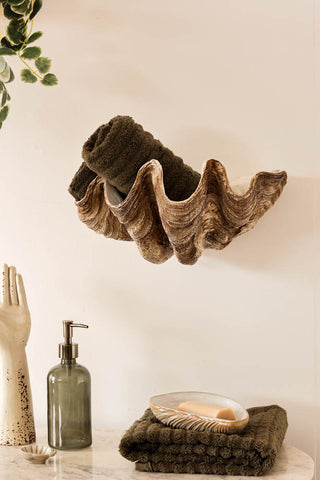 Image of the Clam Shell Wall Shelf