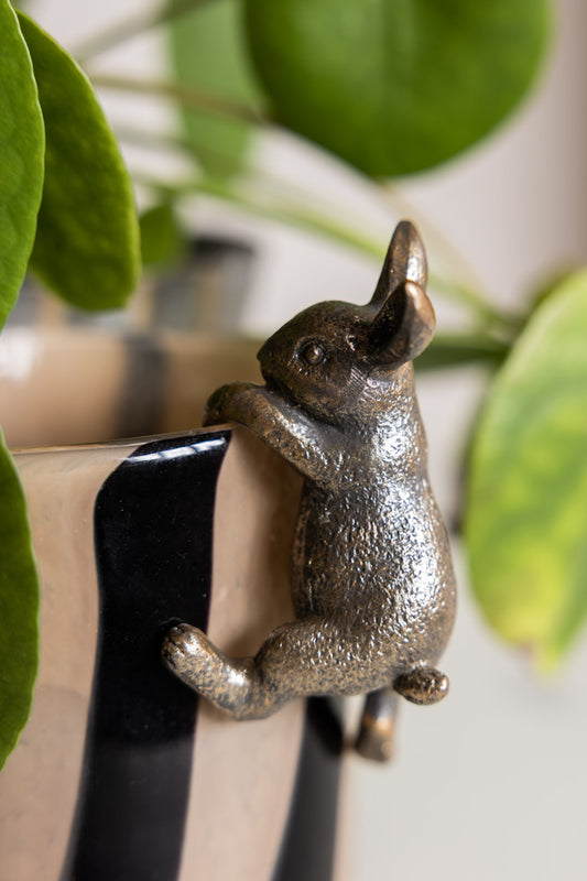 Lifestyle image of the Climbing Rabbit Hanging Decoration