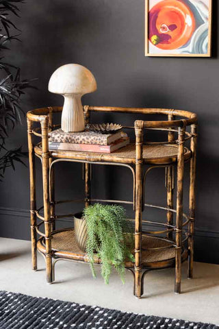 Lifestyle image of the Dark Brown Rattan Console/Drinks Table styled with various home accessories, next to a plant in front of a dark wall with an art print on.
