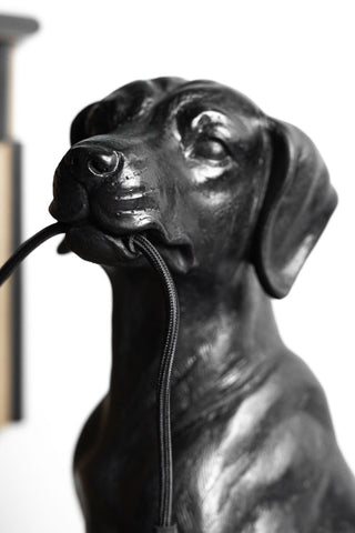 Image of the face of the Black Dog Floor Lamp