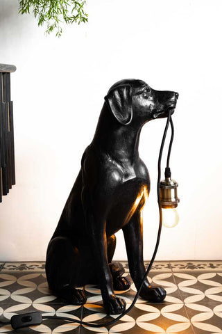 Image of the Black Dog Floor Lamp on
