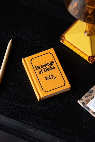 Lifestyle image of the Drawings of Dicks A7 Notebook