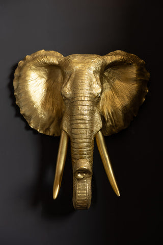 Head on image of the The Extra Large Gold Elephant Head Wall Art shown against a dark black wall.