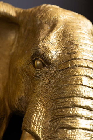 Close up detail of the face of the The Extra Large Gold Elephant Head Wall Art. 