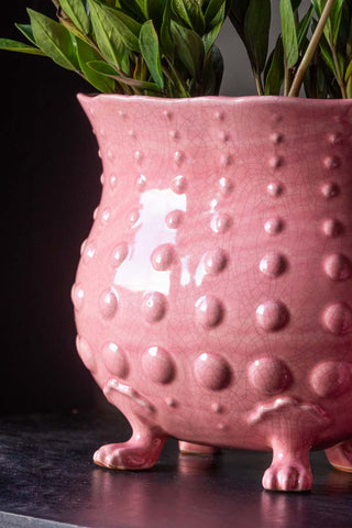 Detail image of the Extra Large Pink Footed Planter