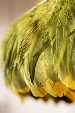 Image of the feathers on the Fabulous Feather Ceiling Light Shade - Olive Green