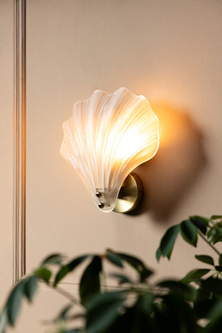 Stunning Frosted Glass Shell Wall Light shown against a beige panelled wall with a plant 