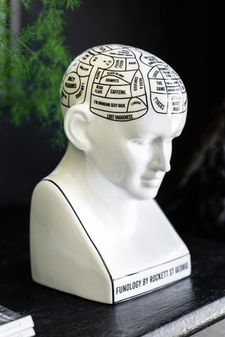 Lifestyle image of the Funology Head Display Ornament
