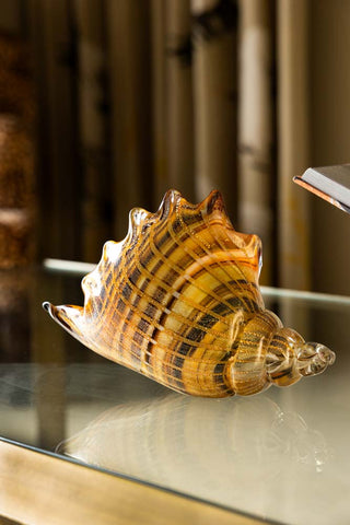 The Glass Conch Shell Paperweight Ornament displayed on a glass table.