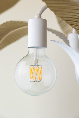 Close-up image of the Globe E27 6W Clear LED Light Bulb