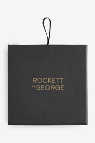 The box of the Gold Arrow Earrings on a white background.