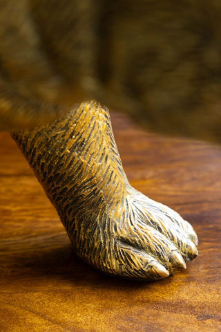 Close-up image of the paw for the Gold Bear Wine Cooler