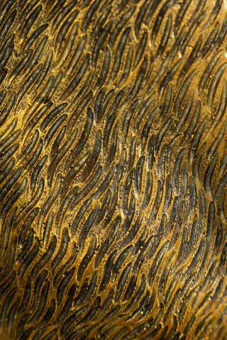 Image of the finish for the Gold Bear Wine Cooler