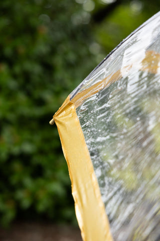 The gold border on the Clear & Gold Domed Umbrella. 