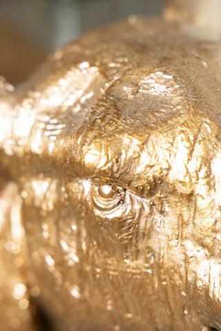 Close-up of the eye of the Gold Elephant Side Table With Glass Top.