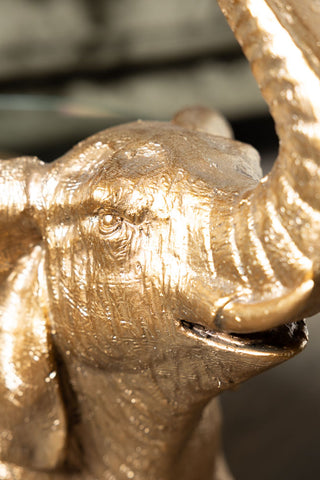 Close-up of the face of the Gold Elephant Side Table With Glass Top.