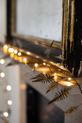 Lifestyle image of the Gold Fern Fairy Lights