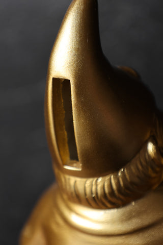 Image of the top of the Gold Naughty Gnome Money Box