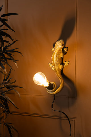Lifestyle Image of the Gold Lizard Table/Wall Light