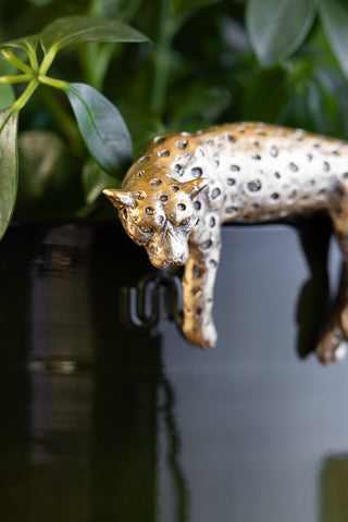 Close-up image of the Gold Lounging Leopard Decoration