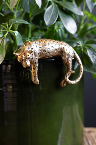 Image of the Gold Lounging Leopard Decoration on a plant pot