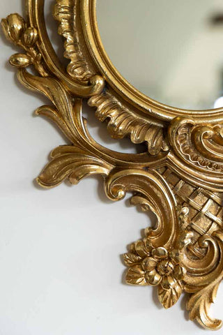 Detail image of the Gold Parrot Mirror