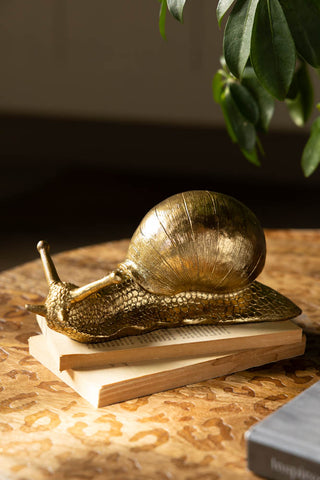 The Gold Snail Ornament styled on a stack of books on a leopard print table, with some greenery in the background.l