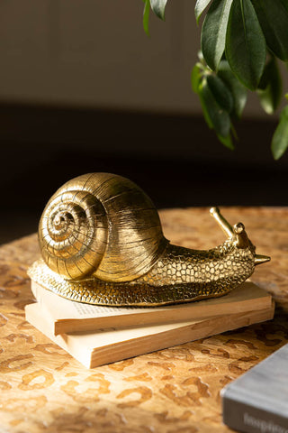 The Gold Snail Ornament styled on a stack of books on a wooden table.