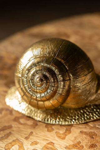 Close-up of the shell of the Gold Snail Ornament.