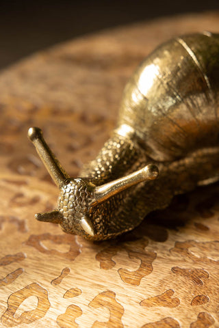 Close-up of the face of the Gold Snail Ornament.