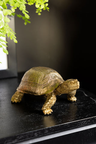 The Gold Tortoise Ornament displayed on a black wooden surface.