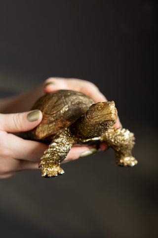 The Gold Tortoise Ornament held in someone's hands.
