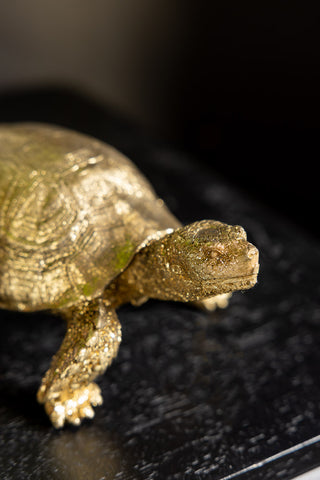Close-up of the Gold Tortoise Ornament on a black wooden surface.