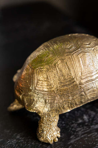 Close-up of the shell of the Gold Tortoise Ornament.