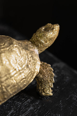 Close-up of the Gold Tortoise Ornament.