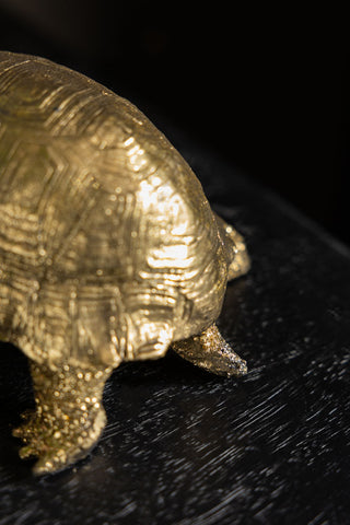 Close-up of the back of the Gold Tortoise Ornament.