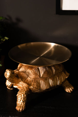 The Gold Tortoise With Tray seen displayed on a dark surface with a plant.