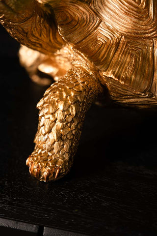 Close-up the tortoise's leg on the Gold Tortoise With Tray.