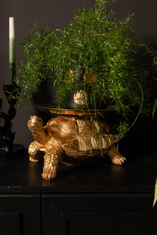 The Gold Tortoise With Tray displayed with a large plant on top, styled on a dark surface with a candlestick holder.