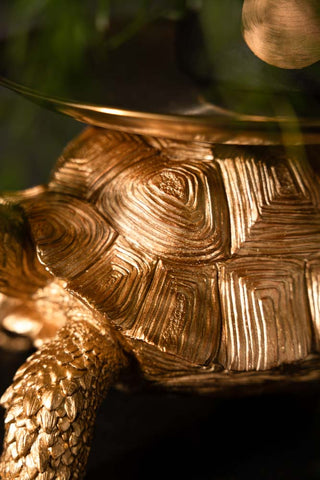 Close-up of the shell on the Gold Tortoise With Tray.