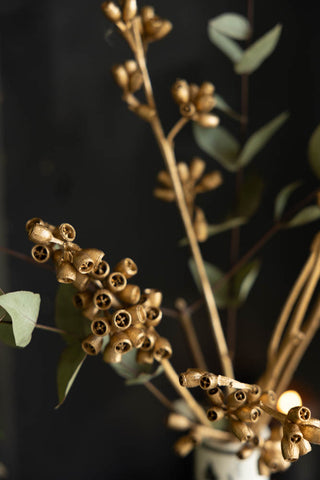 Gorgeous Gold Dried Mini Seed Pods