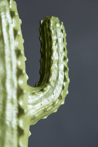 Close-up image of the Green Cactus Ornament
