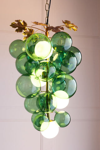 Lifestyle image of the Green Grapevine Glass Ceiling Light