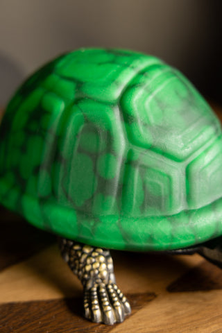 The shell detailing on the Green Speckled Glass Turtle Table Lamp. 